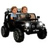 24V Electric Car for Kids, 2-Seater Ride on Toy Car Truck for Big Kids Age 3-8, Remote Control, Music, Safety Belt, LED Light, Birthday Gift Black view 1