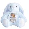 A Cuddle From Heaven - Personalized Stuffed Bunny, Custom Photo Keepsake for Loss of Loved One, Sympathy Gift for Grandkids, Hug From Heaven Keepsake, Grandma's Promise Personalized Stuffed Bunny view 1