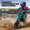 24V Kids Electric Dirt Bike - 250W Electric Motorcycle, 11 Mph Max Speed Electric Mini Dirt Bike with Music, 10 Miles Range, Twist Grip Throttle, Metal Suspension, Rubber Tire (Dark Green, with Cover) view 2