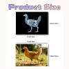 16 Animal X-Ray Set, Educational Science Kit for Kids to Explore Bone Structures for Lightstand Accessories, Light and Shadow Areas (Farm Collection) view 4