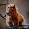 Auto Propelled Electric Ponies Toy Featuring Sound Effect Safe Materials for Learning and Playing Safe Toy view 3