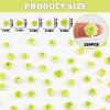 150 Pieces Tiny Flowers for Craft Dollhouse Miniatures Soft Resin Flowers for Fairy Garden Micro Landscaping Decoration, Green view 4