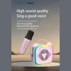 Karaoke Machine with 2 Wireless Microphones, Portable Player with LED Lights, Singing Speaker Toys Voice Changer  for 3+ Years Old Girls Boys Birthday Party Home Fun view 4