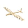 AEORCACC 1600mm(63 inches) Wingspan RC Glider Sunbird Balsa Wood DIY Assembly Aircraft,Outdoor Wooden RC Airplane Balsa RC Plane Kit F16 view 1