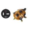 LIOOBO Interactive Electric Turtle Toy: Early Learning and Imaginative Play Realistic Remote Control Turtle - Smooth Movement for Kids Fun & Cognitive Development view 2