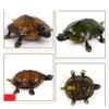 LIOOBO Interactive Electric Turtle Toy: Early Learning and Imaginative Play Realistic Remote Control Turtle - Smooth Movement for Kids Fun & Cognitive Development view 3
