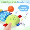 Baby Sensory Toys for 0-6 6-12 Months, Musical Stuffed Caterpillar Animal Toys for Infant 3 6 9 12 18 Months, Tummy Time Toys with Mirror Rattle Crinkle for Newborn Boys Girls Shower Gifts view 3
