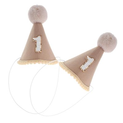 ABOOFAN Birthday Hats 2Pcs Felt Cone Party Caps with Pom Poms, Brown Color, Birthday Crown Headwear for Boys, Party Dress Up Supplies for Shower and Celebration