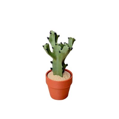3D Printed Tactile Stress Reliever with Mechanical Keyboard Feel | Pocket-Sized Desk Toy, Fun Gift for Cactus Lovers, Office & Home Decor (1, Four-Petal Cactus)