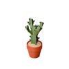 3D Printed Tactile Stress Reliever with Mechanical Keyboard Feel | Pocket-Sized Desk Toy, Fun Gift for Cactus Lovers, Office & Home Decor (1, Four-Petal Cactus) view 1