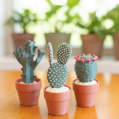 3D Printed Tactile Stress Reliever with Mechanical Keyboard Feel | Pocket-Sized Desk Toy, Fun Gift for Cactus Lovers, Office & Home Decor (6, Cactus Series)