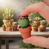 3D Printed Tactile Stress Reliever with Mechanical Keyboard Feel | Pocket-Sized Desk Toy, Fun Gift for Cactus Lovers, Office & Home Decor (6, Cactus Series) view 3