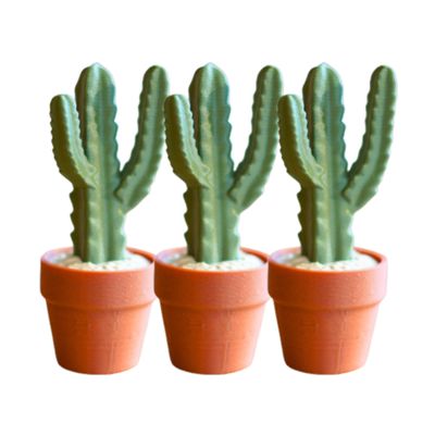 3D-Printed Cactus Clicker with Satisfying Tactile Click, Desk Stress Relief & Sensory Gadget, Fun Plant-Style Decor & Gift (3, Style 03)