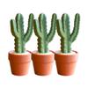 3D-Printed Cactus Clicker with Satisfying Tactile Click, Desk Stress Relief & Sensory Gadget, Fun Plant-Style Decor & Gift (3, Style 03) view 1