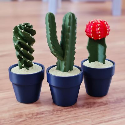 3D-Printed Cactus Clicker with Satisfying Tactile Click, Desk Stress Relief & Sensory Gadget, Fun Plant-Style Decor & Gift (3, Style 12)