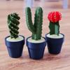 3D-Printed Cactus Clicker with Satisfying Tactile Click, Desk Stress Relief & Sensory Gadget, Fun Plant-Style Decor & Gift (3, Style 12) view 1