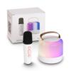 Retro Wireless Karaoke Speaker 500MaH USB-C Rechargeable with Microphone in White and RGBCW Color Changing Light view 1