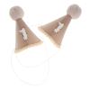 ARTIBETTER Birthday Party Hats Cone-shaped Felt Beanie with Pom Poms for Boys, 2pcs Brown Felt Party Caps for Birthday Celebrations and Dress-up Accessories view 1