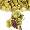 Cardamom Green Indian Cooking Spices/Nuts Certified 100% Organic Premium Quality from India view 1