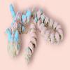3D-Printed Cookie Dragon Articulated , Cute Cookie Dragon Fidget Toy & Desk Collectible Gift (Style 5) view 1