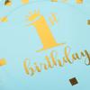 DOITOOL 16pcs First Birthday Party Paper Plates Set, 7" and 9" Disposable Dinner Plates with Gold Foil Accent, 1st Birthday Tableware for Boys view 4