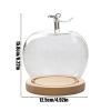 Glass Dome with Base - Fruit Shape Tabletop Decoration | Figure Cloche Glass Dome for Collectors Home Office Retail Store Wedding Jewelry Collectibles Figures Dolls Dining Table Souvenirs view 4