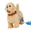 CATHATRR Easy Control Electric Golden Retrievers Toy That Talks and Tongue Out on Leash for Interactive Play Electric Dog Toy view 1