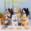 CATHATRR Easy Control Electric Golden Retrievers Toy That Talks and Tongue Out on Leash for Interactive Play Electric Dog Toy view 3