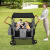 Stroller Wagon for Kids, 4-Seater All-Terrain Push Pull Wagon with 5-Point Harness, Adjustable Handle, Removable Canopy & Foldable Design, 66 lbs Capacity per Seat (Grey) view 3