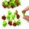 12 Inch Doll 10 Red Green Clay Lettuce Salad Vegetable 1:6 Miniature Market view 1