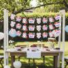 A Berry Sweet Baby is on The Way Banner, 3pcs Berry Baby Shower Paper Garland Decorations Red and Blue Berry Sweet Gender Reveal Party Supplies view 3