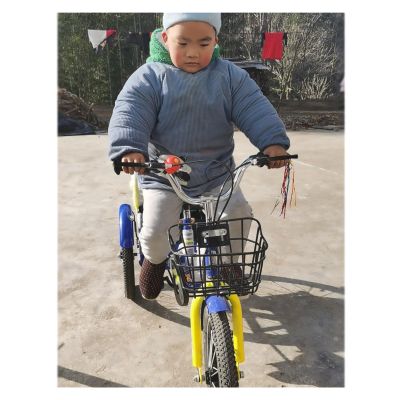 ENWINDXS Easy to Install 3 Wheel Bicycle with Child Seat High Carbon Steel, Blue Pink Red Three Wheel Cruiser Bike Two-Seater Tricycle, Gift Toy Comfortable Pedal Trikes Folding(Blue,14")