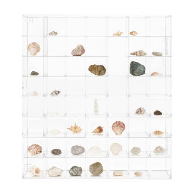 56-Compartment Rock Display Case Acrylic Clear Collection Box with Lid, Freestanding/Wall-Mounted Storage Display Case for Mineral Crystal Rocks Toys Gems, Suitable for Bedrooms Living Rooms Studies