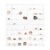 56-Compartment Rock Display Case Acrylic Clear Collection Box with Lid, Freestanding/Wall-Mounted Storage Display Case for Mineral Crystal Rocks Toys Gems, Suitable for Bedrooms Living Rooms Studies view 1