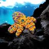 3 d Printed Animals 3-d Printed Toys Octopus with Simulated Eyes Articulated for Surprise Fantasy Gifts Aquarium Landscaping-Blue Black view 4
