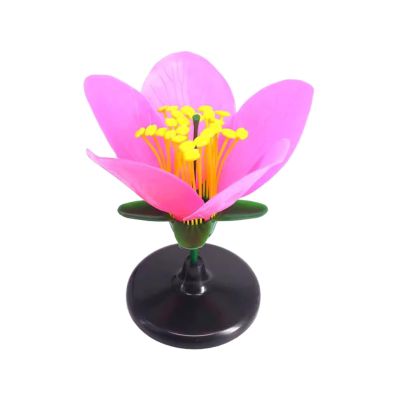 1pc Enlarged Plastics Peach Flower Model, Life Size Artificial Flower Anatomy Model for Middle School Classroom Demonstrations with Detachable Petals and Stamens High School Lab Equipment