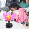 1pc Enlarged Plastics Peach Flower Model, Life Size Artificial Flower Anatomy Model for Middle School Classroom Demonstrations with Detachable Petals and Stamens High School Lab Equipment view 2