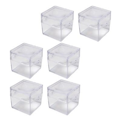 6PCS Small Square Observation Boxes with Magnifier for Outdoor Exploration Safe Viewer Container Observation Box with Magnification Lid