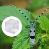 6PCS Small Square Observation Boxes with Magnifier for Outdoor Exploration Safe Viewer Container Observation Box with Magnification Lid view 2