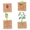 4Pcs Life Cycle Toys for Kids Simulated Plant Growth Process Model Seed Plant Growing Kit Educational Toy for Kids Teaching view 1