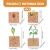 4Pcs Life Cycle Toys for Kids Simulated Plant Growth Process Model Seed Plant Growing Kit Educational Toy for Kids Teaching view 2