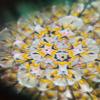 Beautiful Antiqued Brass Kaleidoscope with Three-Color Marble Eyepiece Classic GILBRT & SONS Design Item Set of 3 view 3