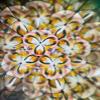 Beautiful Antiqued Brass Kaleidoscope with Three-Color Marble Eyepiece Classic GILBRT & SONS Design Item Set of 3 view 4