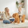 Baby Rocking Horse,Poodle Wooden Rocking Horse for Toddlers 1 Year Old Cute Dog Stuffed Plush Ride-on Toy Rocking Animal for Baby Boys and Girls Nursery/Child Christmas or Birthday Gift view 4