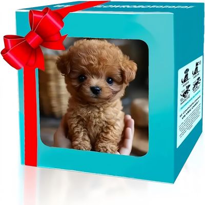 Aikertec 2026 New Upgrade Hopping Dog Interactive Electronic Plush Puppy Toy - Plush Puppy Dog Walking, Barking & Tail Wagging (Brown)