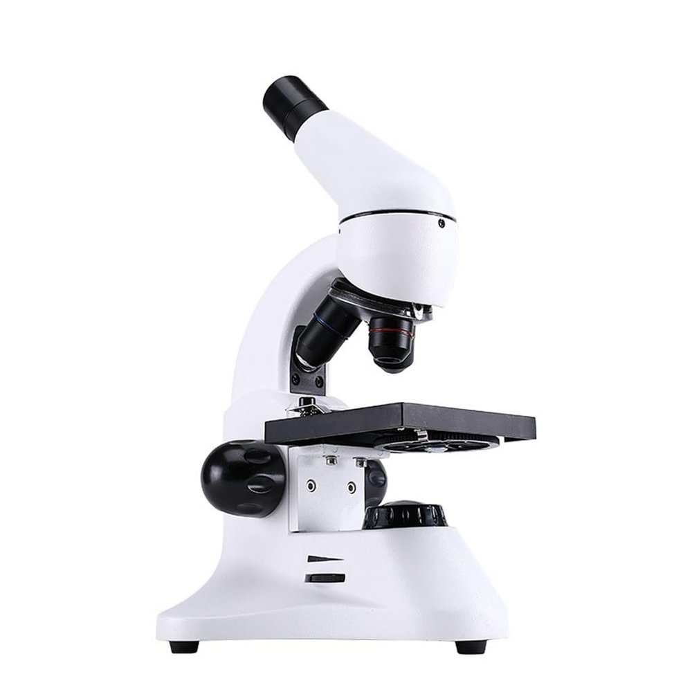 2000x Students Can Carry It with an Optical Microscope