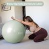 BABYGO Birthing Ball 65cm Sage + Electric Pump New view 2