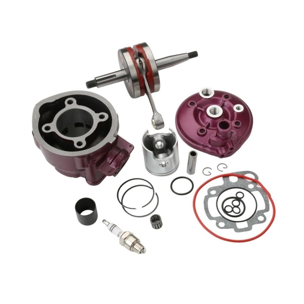 49mm 90cc Big Bore Cylinder Kit Crankshaft Compatible with Motorhispania RX RYZ SM Pro Racing Enduro Superracing 50cc 2T Minarelli