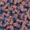 American Flags & 250 CREST view 1