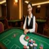 4 Deck Set of Casino Grade100% Plastic, Waterproof, Trivia Playing Cards with WikiPoker Game Instructions Game for Poker Night, Card Games, Camping, Family Game Nights view 4